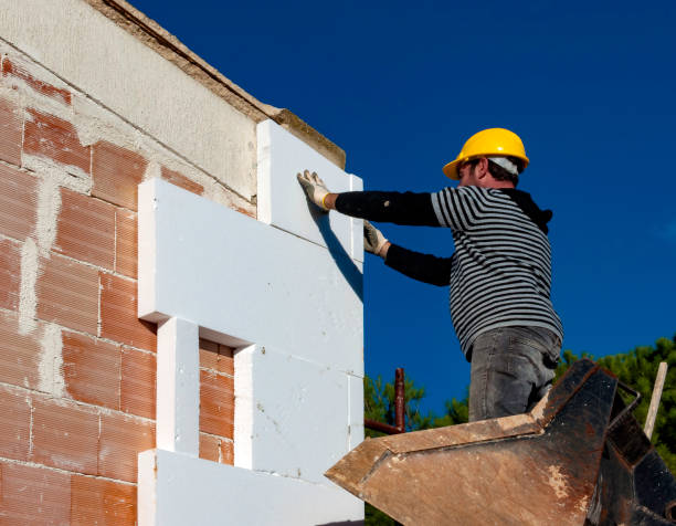Best Types of Insulation in Bodfish, CA