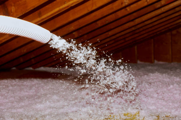 Best Insulation Installation Services in Bodfish, CA