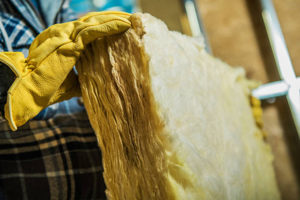 Best Types of Insulation in Bodfish, CA