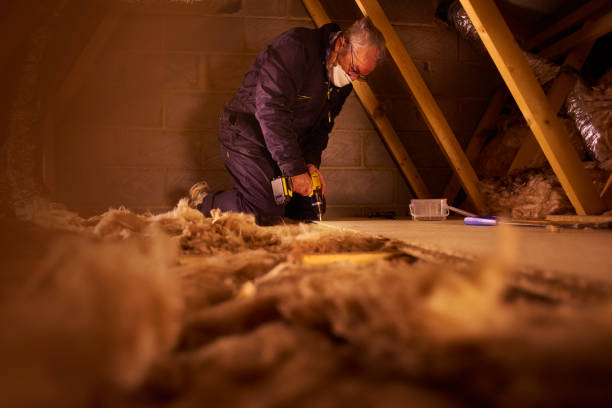 Best Insulation Materials and Products in Bodfish, CA